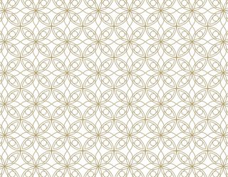 欧式花纹底纹设计背景白色金色