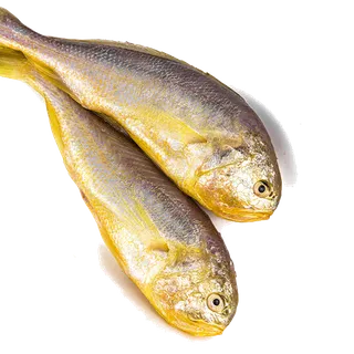 野生黄花鱼海鲜超市商品红酒白底图免抠实物摄影png格式图片透明底