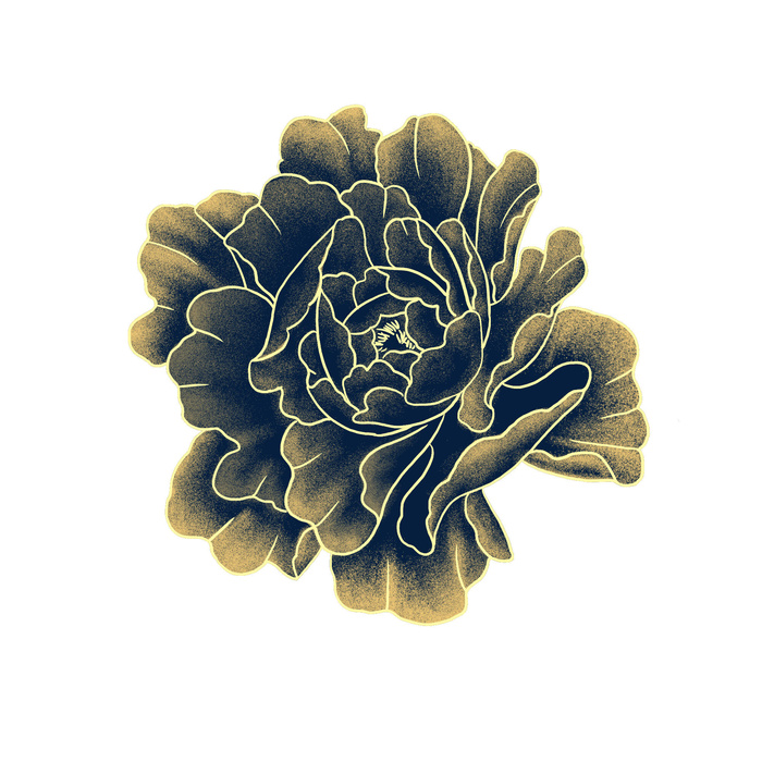 手绘国潮中国风古典牡丹花国花花卉装饰图案PSD设计素材