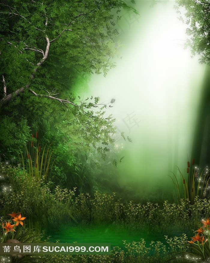 森林阳光摄影背景图片