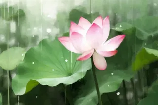 国风荷花水墨节气背景