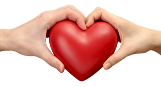 爱心友情爱情