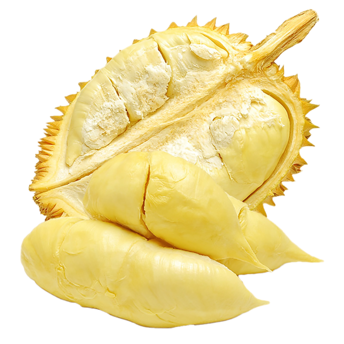 金枕榴莲 (4)水果超市商品白底图免抠实物摄影png格式图片透明底