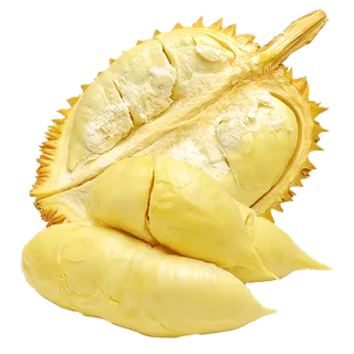 金枕榴莲 (4)水果超市商品白底图免抠实物摄影png格式图片透明底