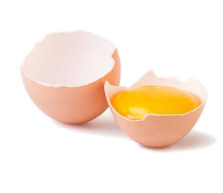 鹌鹑蛋 (超市商品白底图免抠实物摄影png格式图片透明底014