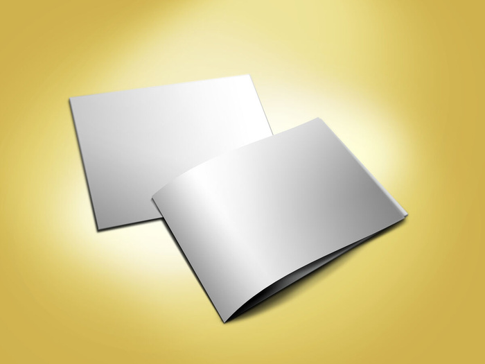 产品画册提案效果样机模板