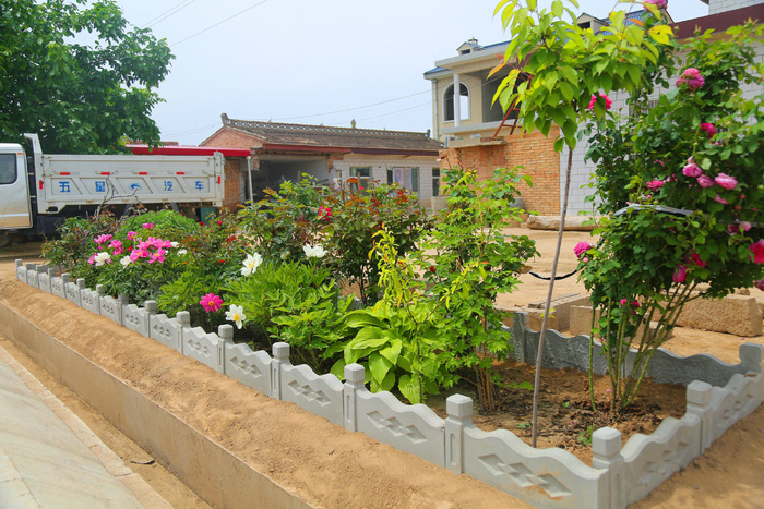 花盆 花店 街道 公路边 摄影 生物世界 花草