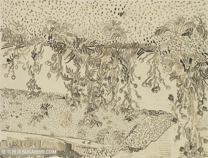 路边的蓟手绘装饰画