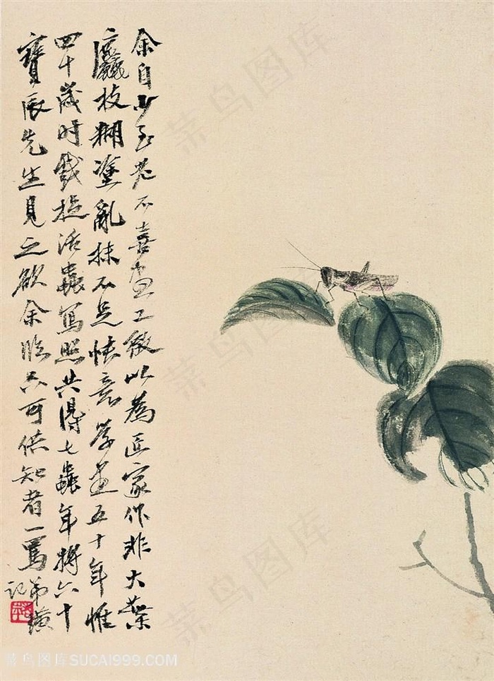 齐白石蚱蜢植物国画图片
