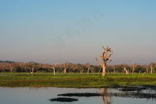 风景 景观 夕阳 黄昏 航拍风景 森林