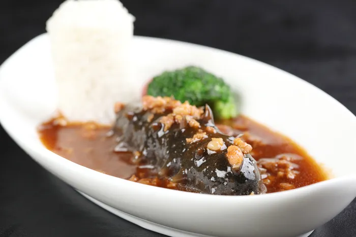 GY00094肉沫扣辽参 (1)