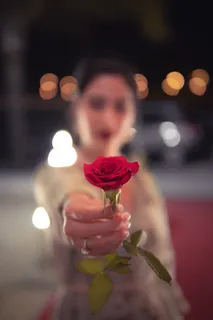 玫瑰花摄影图情人节玫瑰花配图图片 玫瑰花摄影图情人节玫瑰花配图图片