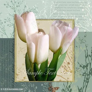 欧美花朵装饰画