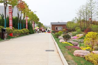 路边小房子石头黄花红花