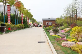 路边小房子石头黄花红花