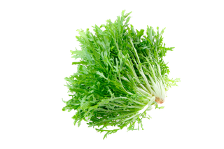 苦苣超市商品白底图免抠实物摄影png格式图片透明底