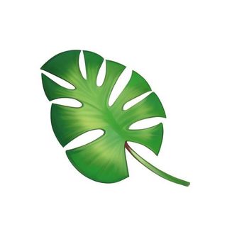 叶子龟背竹免抠