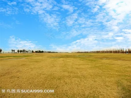 春天的美景田野图片