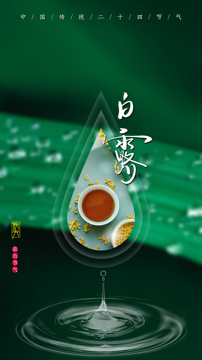 二十四节气秋天白露节气海报产品海报psd模版下载
