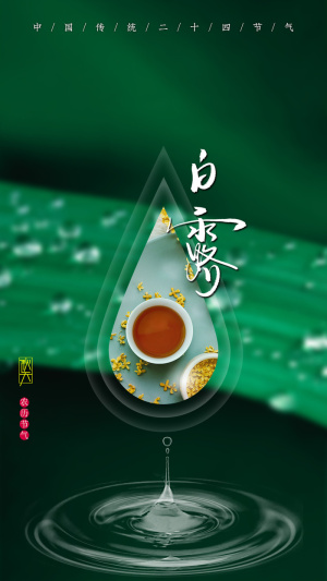 二十四节气秋天白露节气海报产品海报psd模版下载