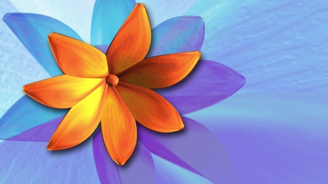 花, 橙色的, 旋转, 植物, 自然, 背景