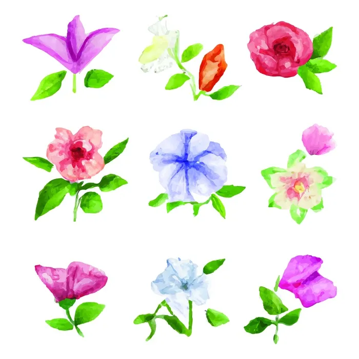 水彩花朵矢量插画