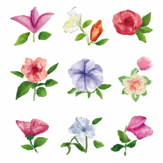 水彩花朵矢量插画