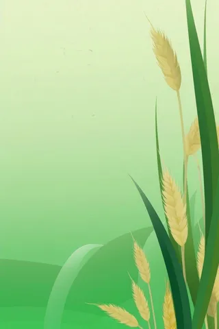 国风青色小麦简约背景