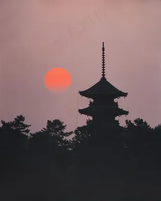 天空中火红的太阳下的树影