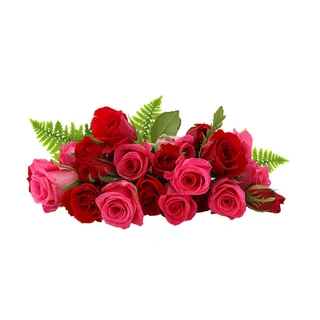 免抠玫瑰花实物摄影图片