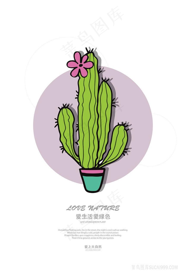 手绘矢量仙人掌艺术插画