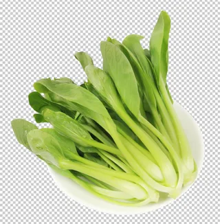 小油菜免扣素材