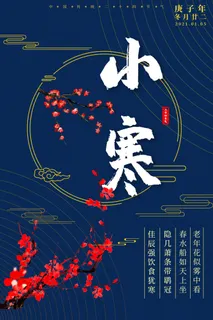 中国传统冬天小寒祝福24二十四节气节日宣传活动海报