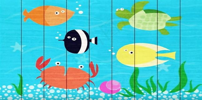 美丽的海底世界