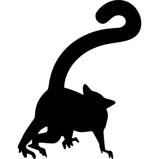 狐猴 PNG免抠(512x512)