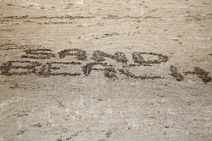 高清沙滩风景图片