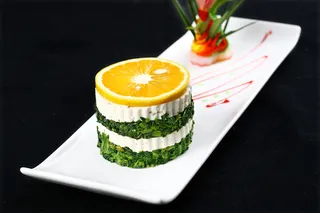 L01059万年青豆腐 (1)