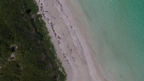 海, 海滩, 海洋, 地平线, 水, 沙, 旅行, 夏天
