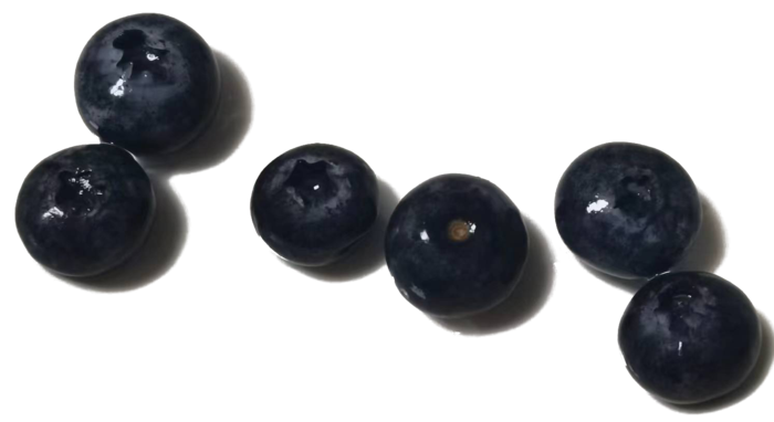 散开蓝莓颗粒果切免抠实物实拍摄影元素素材