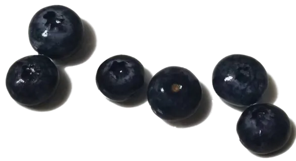 散开蓝莓颗粒果切免抠实物实拍摄影元素素材