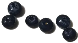 散开蓝莓颗粒果切免抠实物实拍摄影元素素材