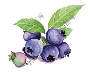 蓝莓抽象高清图