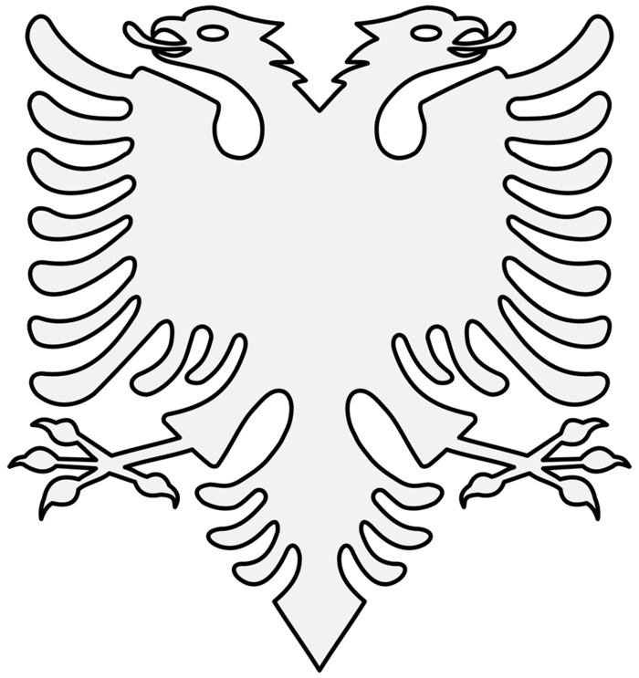 logo国外鸟