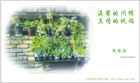 个人简单名片cdr矢量模版下载