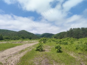 大山里的小路