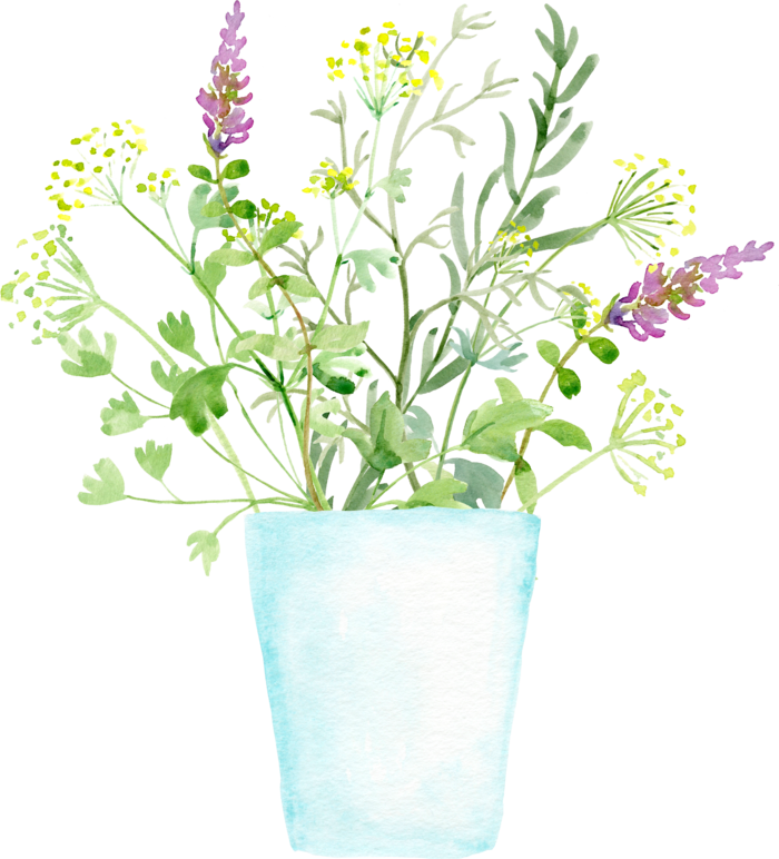 植物免扣植物水彩插画设计素材