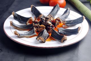 XCXC1900黄焖乌龙乌凤