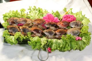 烤红扇贝18元份