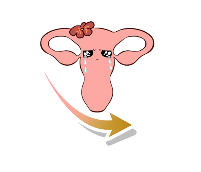 不健康卵巢雌激素下降插图psd模版下载