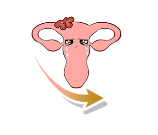 不健康卵巢雌激素下降插图